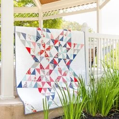 Berry Basket Jolly BarApril Rosenthal For Moda Fabrics -Fabric Sewing Store berrylicious sm2