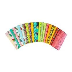 Daydreamer Half Yard BundleTula Pink For Free Spirit Fabrics