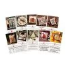 Garden Samplers Mini Card Cross Stitch Pattern Set CThe Prairie Schooler