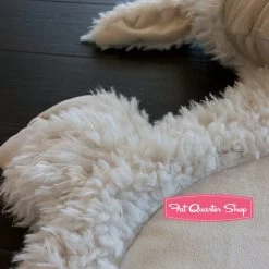 My Lambie Ivory Soft Cuddle Play Mat KitFeaturing Cuddle Fabric By Shannon Fabrics 9 My Lambie Ivory Soft Cuddle Play Mat KitFeaturing Cuddle Fabric By Shannon Fabrics -Fabric Sewing Store mylambie 3