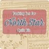 Backing Set For North Star Quilt Kit4.625 Yards Of SKU# 28000-11