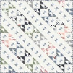 Painted Ladies Quilt KitFeaturing Dwell By Camille Roskelley -Fabric Sewing Store painted ladies top