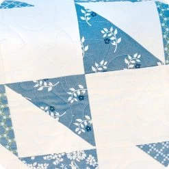 Painted Ladies Quilt KitFeaturing Dwell By Camille Roskelley -Fabric Sewing Store paintedladies cu6