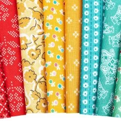Stitch Jolly BarLori Holt For Riley Blake Designs -Fabric Sewing Store stitch cu5 12