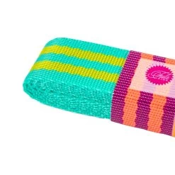 Tula Pink Lime Zest Lime And Turquoise 1" X 2 Yards Nylon WebbingRenaissance Ribbons #TKP-91-2Y-COL04 -Fabric Sewing Store tkp04 cu3